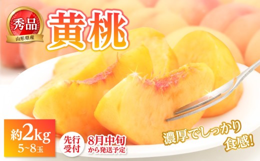 
                  《先行受付》★黄桃（品種おまかせ）★ 約2kg(5～8玉) 秀品 【2026年8月中旬頃～発送予定】 【063-003】
                