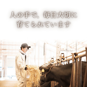 無角和種堪能ツアー 2名様分（見て・触れて・食べる体験）