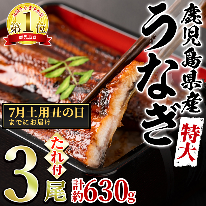 【0234303a-2507】＜土用丑の日までにお届け＞東串良町のうなぎ蒲焼(無頭)(3尾・計約630g・タレ、山椒付) 丑の日 土用丑の日 うなぎ 高級 ウナギ 鰻 国産 蒲焼 蒲焼き たれ 鹿児島 ふるさと 人気【アクアおおすみ】