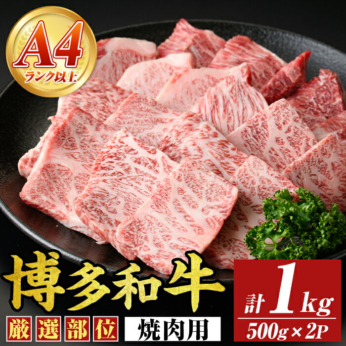 【ふるさと納税】【A4〜A5】博多和牛焼肉用(計1kg・500g×2P) 国産 九州産 福岡県産 牛肉 和牛 黒毛和牛 やきにく お肉【MEAT PLUS】