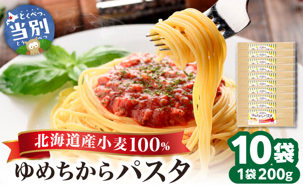 当別町産 小麦 ゆめちから 100%乾? パスタ 10本 JA北石狩農協協同組合 北海道 当別町 小麦 北海道産 トマトパスタ クリームパスタ 和風パスタ 乾麺 スパゲッティ