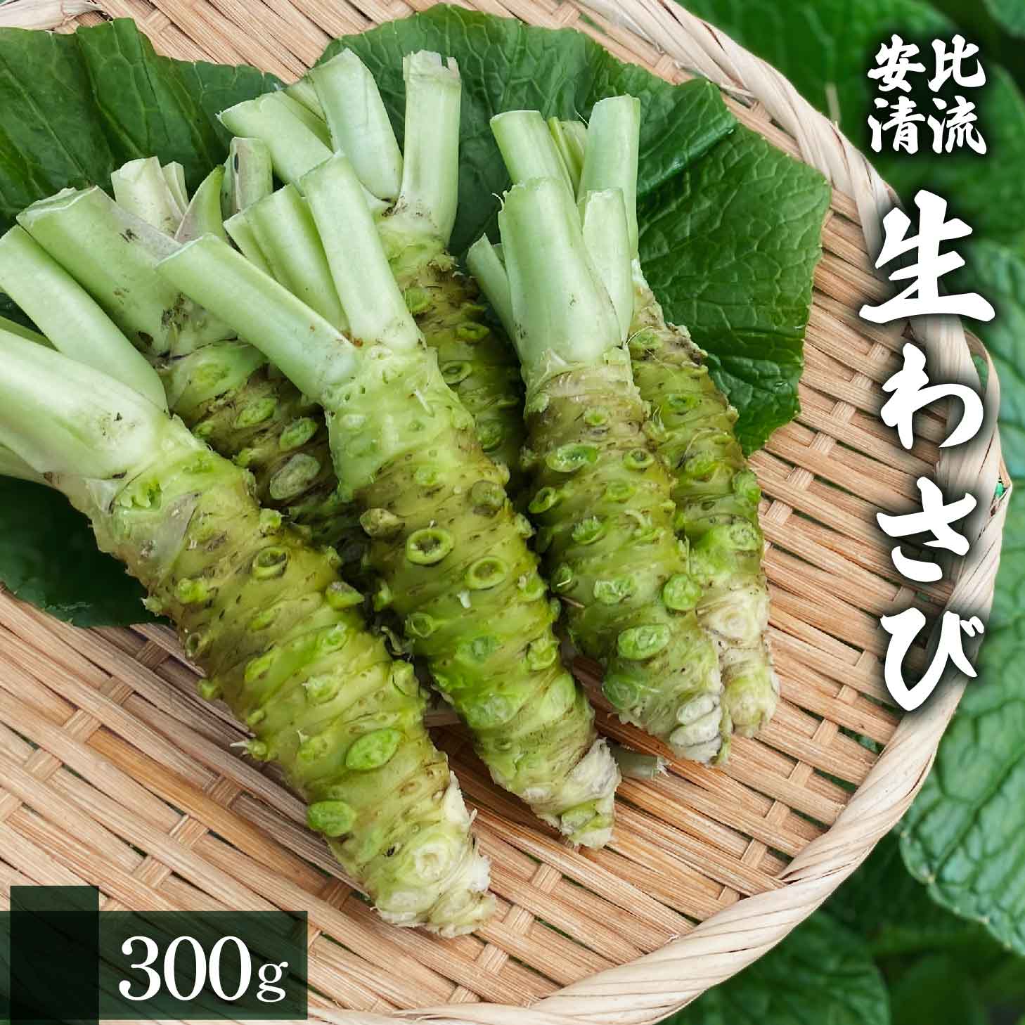 生わさび 300g 【安比清流山葵園】 ／ わさび 山葵 ワサビ 生山葵 生ワサビ 新鮮 薬味 産地直送 国産 岩手県産