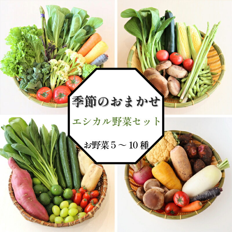 【ふるさと納税】 季節のエシカル野菜詰め合わせセット（5～10種）季節 旬 野菜 詰め合せ 国産 おまかせ 産地直送 春野菜 夏野菜 秋野菜 きのこ 葉物 果物 果菜 根菜 冷蔵 野菜室 ダイエット 食 栄養食 加工品 カット野菜 小松島産 季節限定