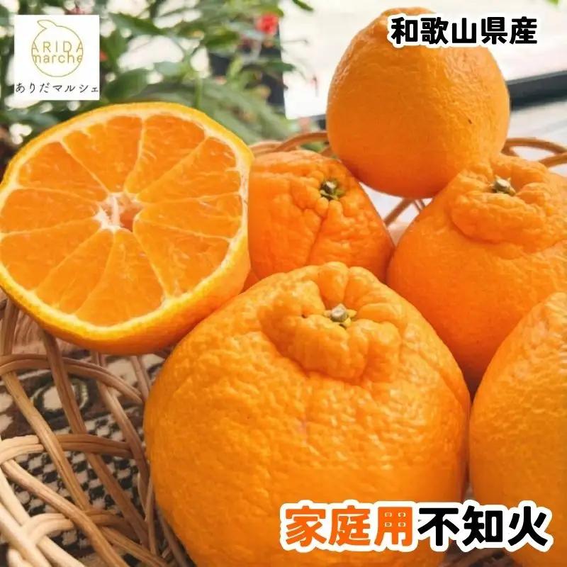 【訳あり・ご家庭用】有田育ちの濃厚 不知火  約1kg+200g(傷み補償分)【2027年1月上旬～3月上旬に順次発送】【AA-ard208】