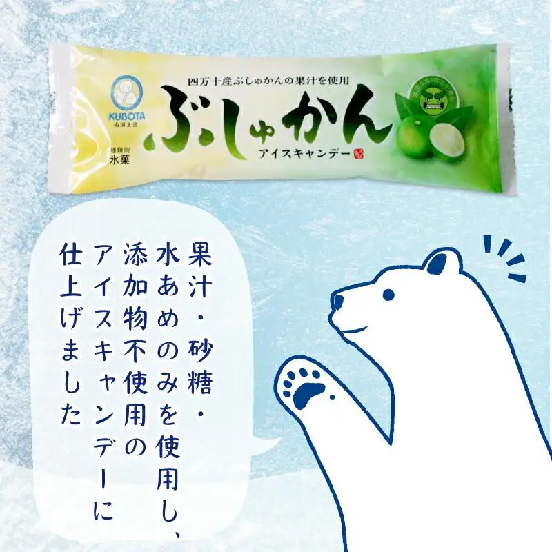 【アイス】四万十ぶしゅかん アイスキャンデー 80ml 20本