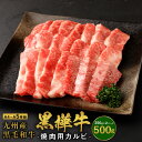 【ふるさと納税】 A4〜A5等級 焼肉用 カルビ 合計500g (250g×2パック) 九州産黒毛和牛 黒樺牛 牛肉 焼肉 焼き肉 和牛 牛 黒毛和牛 国産 冷凍 送料無料