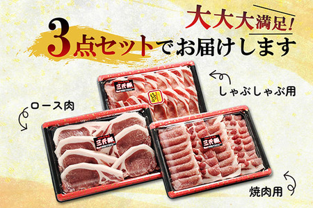 ＜2月中旬発送＞庄内三元豚6か月定期便！（入金期限：2025.1.25）
