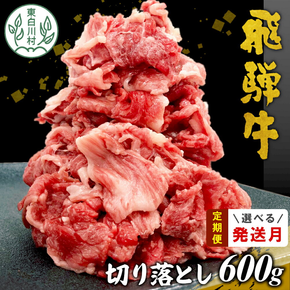 【ふるさと納税】 飛騨牛 切り落とし 600g 牛肉 和牛 肉 お肉 切落し 不揃い にく 切り落し 東白川村 ブランド牛 国産 人気 おすすめ 薄切り きりおとし 岐阜 すき焼き お取り寄せ 冷凍 10000円 1万円