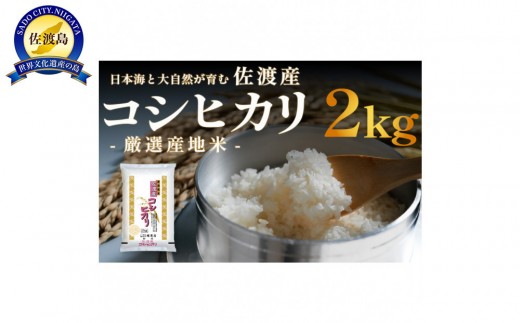 
                  【令和7年産】佐渡産コシヒカリ 精米2kg 国仲平野 | 新潟県産コシヒカリ 新潟産コシヒカリ 新潟コシヒカリ 佐渡産コシヒカリ 新潟県産こしひかり 佐渡産こしひかり お米 米 こしひかり 白米 精米 ブランド米 おこめ コメ 2キロ 少量 お試し 国仲平野 にいがた さど 新潟県 佐渡市
                
