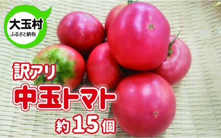 トマト 訳あり 野菜 中玉 (5cmm～8cm) 約15個 もったいない野菜 数量限定 ｜ SDGs フードロス 食品ロス 規格外 不揃い 家庭用 とまと 期間限定 夏野菜 新鮮 旬 5000円 ５０００円以下 産地直送 大玉 大玉村 福島