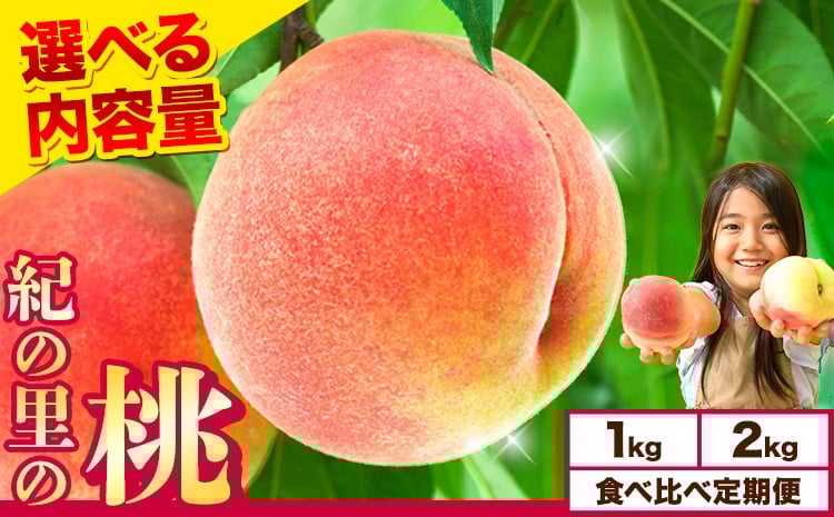 
            桃【アフター保証付】～とろっとジューシー 和歌山よりとろける甘さをお届け～ 選べる容量＆定期便 紀の里の桃《2026年6月中旬-8月中旬頃出荷》 桃お届け もも 6月 もも 7月 白鳳 日川白鳳 八旗白鳳 清水白桃 川中島白桃 和歌山 桃 フルーツ 果物 桃 2026 もも モモ 川中島 先行予約  10,000円以下
          