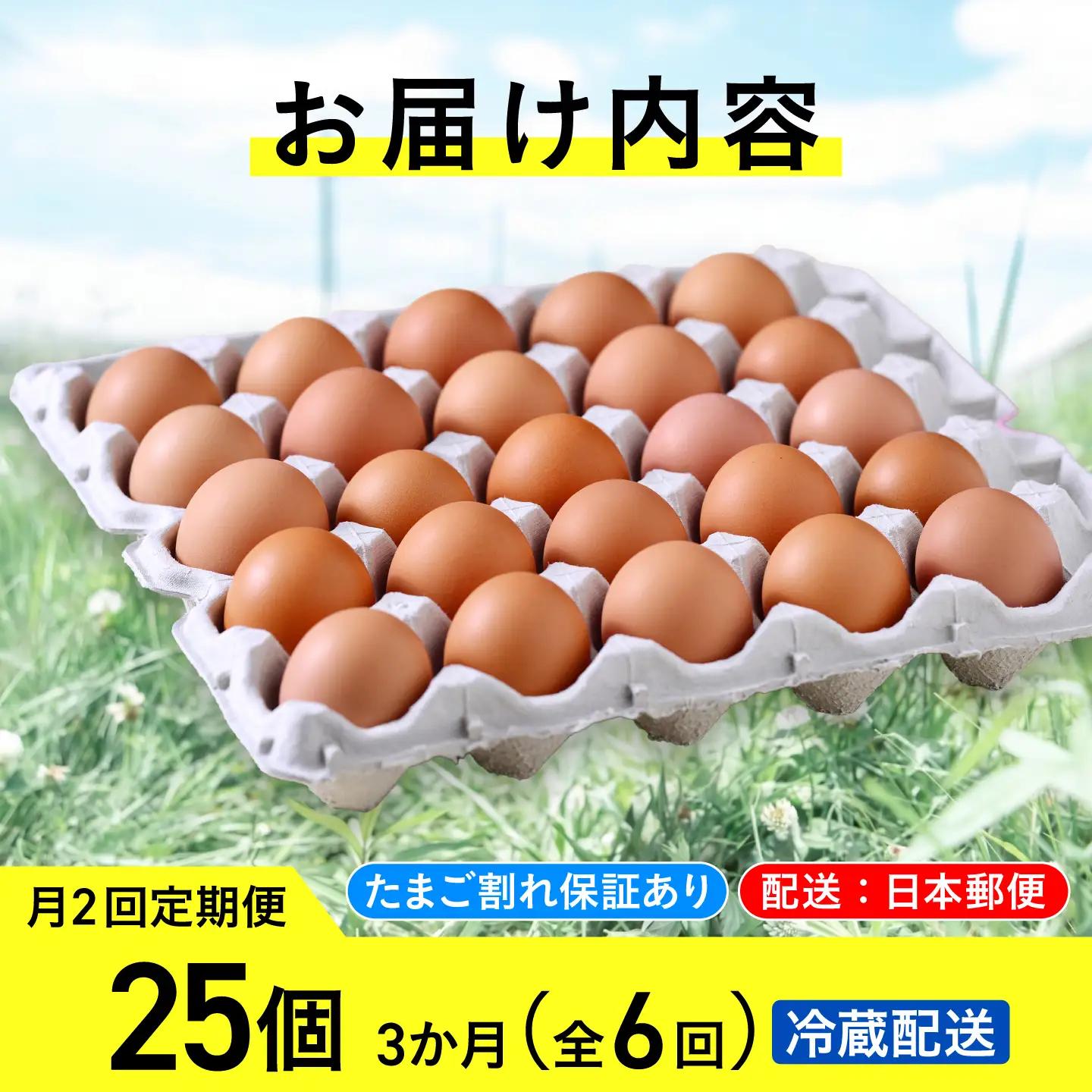 【月2回 3ヵ月定期便】平飼い有精卵 25個 計150個 冷蔵便 [AXAN026]