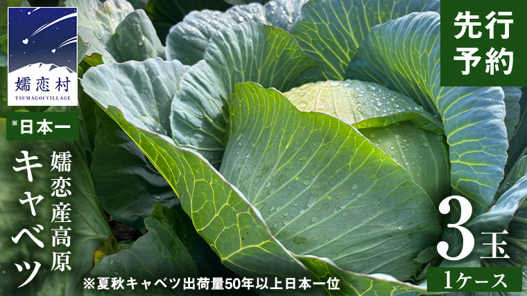 【7月上旬以降発送開始】 嬬恋キャベツ 嬬恋産 高原キャベツ3玉1ケース  先行予約 2025年発送 旬の野菜 きゃべつ 産地直送 群馬 お取り寄せ 野菜 セット Lサイズ [AS010tu]
