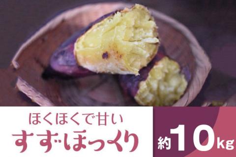 BZ-12　【先行予約】【2023年度産】ホクホクで甘いさつまいも　すずほっくり　約10kg