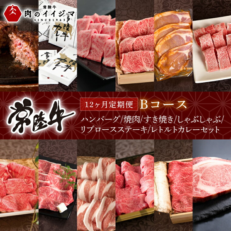 【ふるさと納税】【定期便 全12回】 常陸牛 12ヶ月 定期便 Bコース 食べ物 肉 ハンバーグ 焼肉 すき焼き しゃぶしゃぶ リブロース ステーキ レトルトカレー ふるさと納税 定期便 ギフト対応（DU-112）