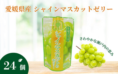 飲むゼリー シャインマスカット 150g×6個×4箱｜B368