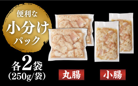 【塩だれ味】 九州産和牛 ホルモン 2種 計1kg（ 小腸 250g×2袋・ 丸腸 250g×2袋） 長与町/岩永ホルモン[EAX154] / ホルモン 小腸 ホルモン 丸腸 ホルモン 国産 ホルモン