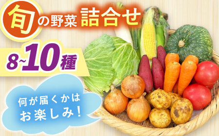 採れたてお野菜おまかせセット（8～10種）/ 野菜 やさい 野菜セット 野菜詰め合わせ 詰め合わせ セット / 大村市 / かとりストアー[ACAN106]