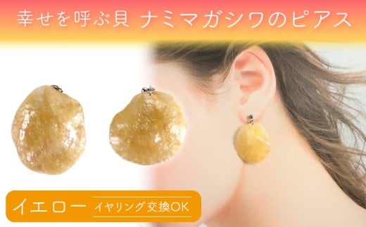 幸せを呼ぶ貝 ナミマガシワのピアス（イヤリング）：イエロー　ピアス イヤリング アクセサリー ジュエリー ハンドメイド ファッション おしゃれ かわいい プレゼント ギフト 誕生日 記念日 雑貨 おすすめ 手作り 作家 ナミマガシワ 貝 黄色 クリーム 樹脂 コーティング サージカルステンレス アレルギー 女性 レディース pino