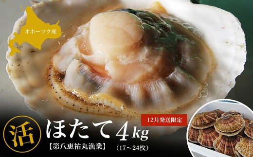 【12月発送限定】オホーツク産 『活』 ほたて 4kg（17～24枚） 【ふるさと納税 人気 おすすめ ランキング 魚介類 貝 ほたて ホタテ 帆立 帆立貝柱 ホタテ貝柱 ほたて貝柱 新鮮 北海道 佐呂間町 送料無料】 SRMN030