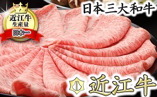 
                  極上 近江牛 すき焼き しゃぶしゃぶ ロース 800g 【CB02W】 ( 近江牛 ブランド和牛 牛肉 ロース スライス 近江牛 A5 やきしゃぶ すきやき すき焼き 国産 黒毛和牛 冷凍 人気 鍋 滋賀県 近江八幡市 和牛 牛肉 すき焼き 霜降り ギフト 贈答 神戸牛 松阪牛 に並ぶ 日本三大和牛 近江牛 ふるさと納税 )
                