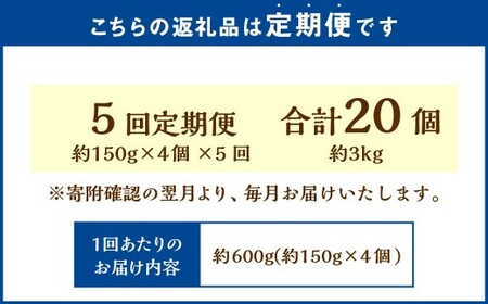【5回定期便】 国士無双 酒粕カタラーナ 抹茶味 約600g （約150g×4個） （合計約3kg） カタラーナ 日本酒 酒粕 抹茶 洋菓子 菓子 お菓子 焼菓子 焼き菓子 大人スイーツ 定期便 北海