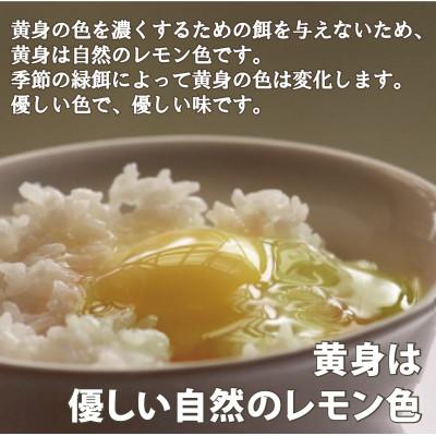 ふるさと納税 南知多町 さとの平飼い玉子20個&季節の野菜セット |  | 02