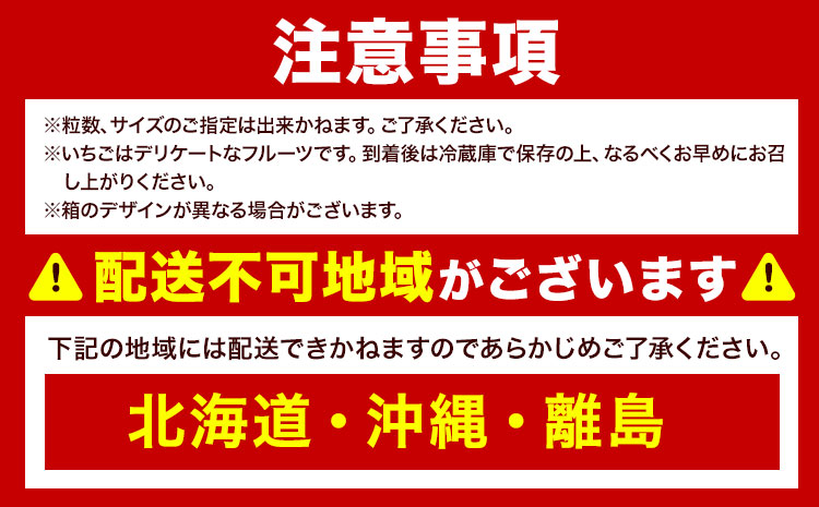 福岡県産 冬あまおう 2パック 南国フルーツ株式会社《12月上旬-1月末頃出荷》福岡県 鞍手町 あまおう いちご イチゴ 送料無料【配送不可地域あり】