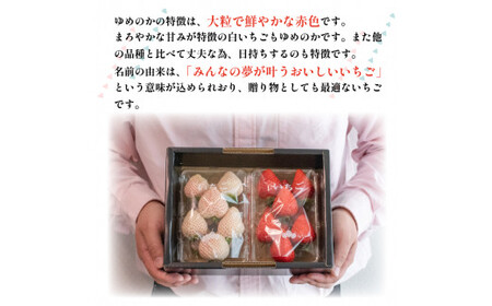 紅白 いちご ゆめのか 500g 以上 2パック 白いちご 果物 フルーツ 大粒 ストロベリー スイーツ 先行予約 阿波市 徳島県