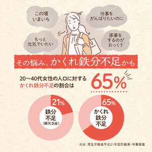 鉄分 サプリ ルミエル 鉄 10mg フェリチン鉄 ヘム鉄 葉酸 栄養機能食品 3袋（3ヶ月分）
