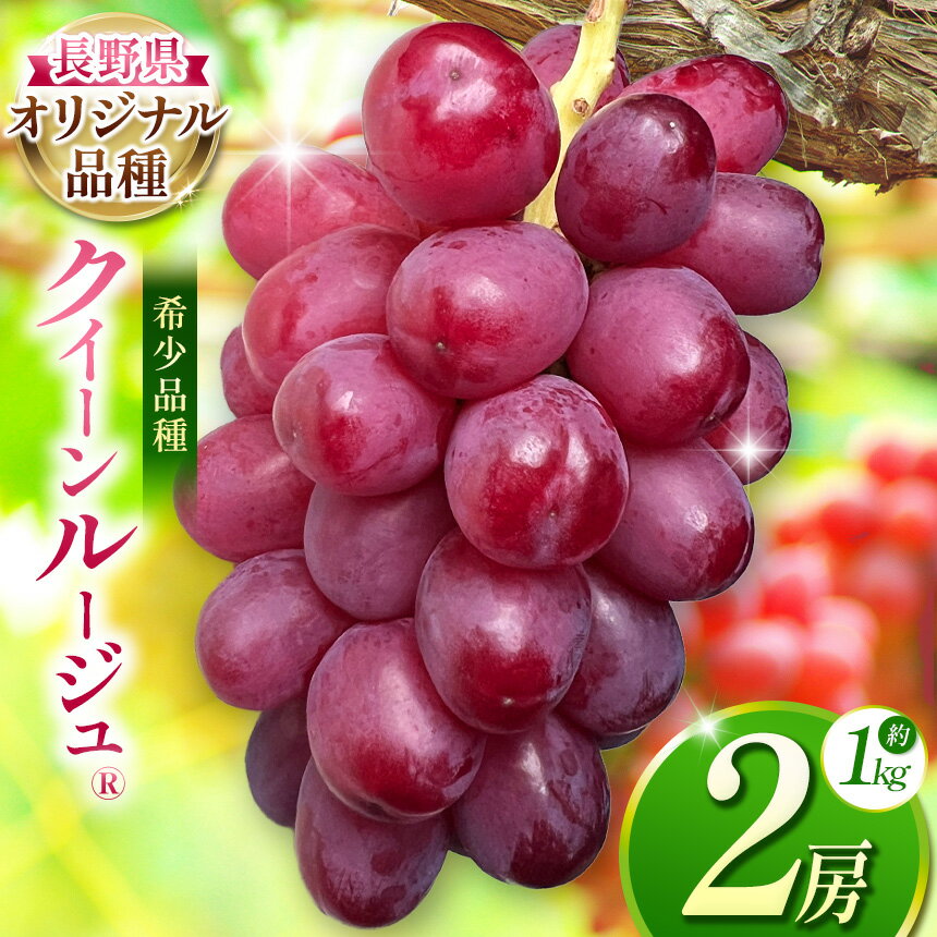 【ふるさと納税】【2026年先行予約】 クイーンルージュ® 2房 【9月下旬以降発送予定】 | 果物 くだもの フルーツ 葡萄 ぶどう ブドウ 長野県 塩尻市