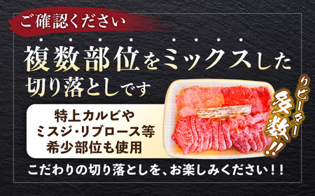 【全3回定期便】葉山牛500g　焼肉用ミックス 牛肉（ロース、モモ、カルビ等 ） 食べ比べ[ASBD028]