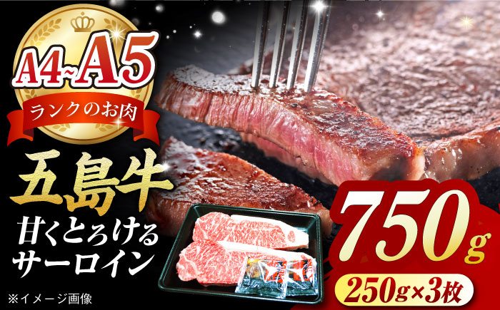 やみつき 五島牛 サーロインステーキ 750g（250g×3枚） A4 A5 国産  BBQ 牛肉 牛 肉 五島市/肉のマルヒサ [PCV054]