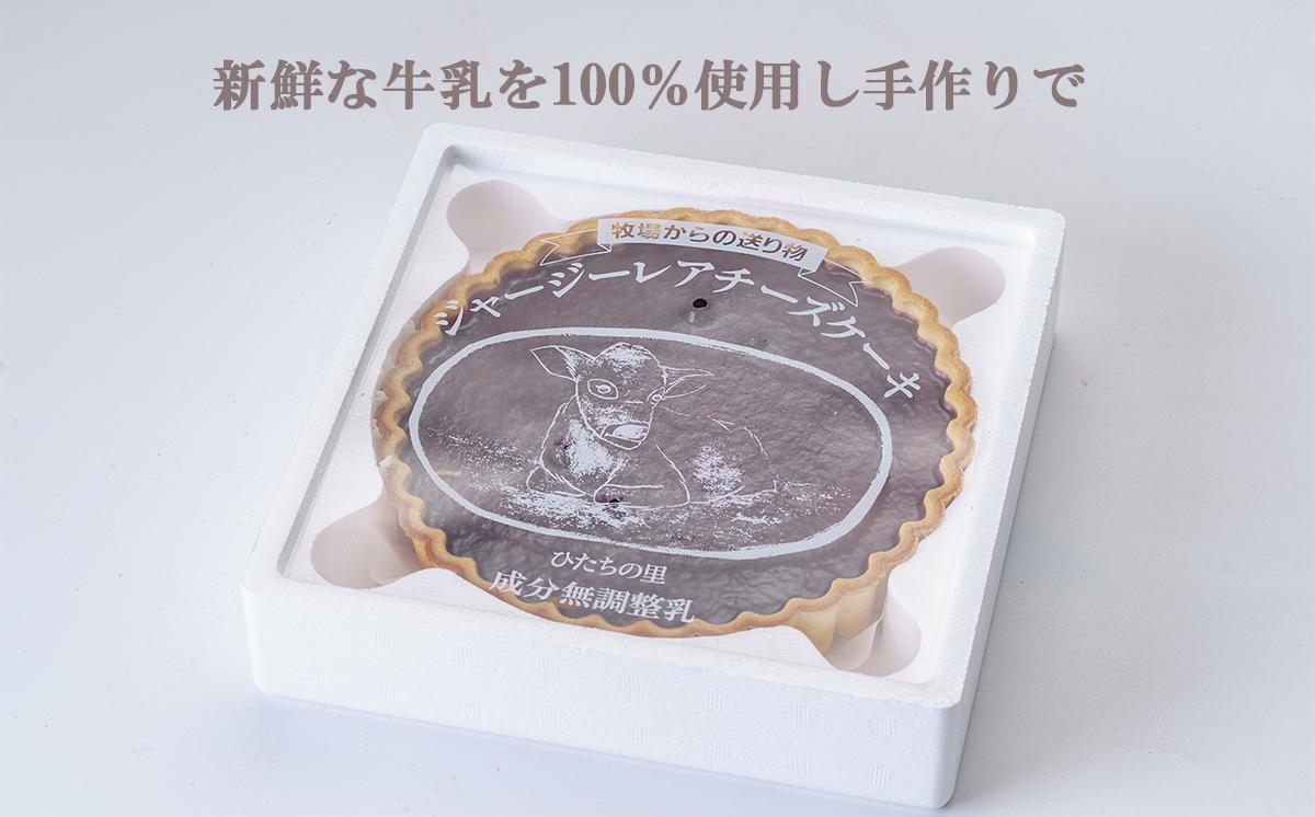 ガトープーリアのジャージーレアチーズケーキ（ ブルーベリー ）【 チーズケーキ レアチーズケーキ ケーキ ジャージー牛 ブルーベリー スイーツ おやつ デザート ギフト 贈答 冷凍 菓子 洋菓子 茨城