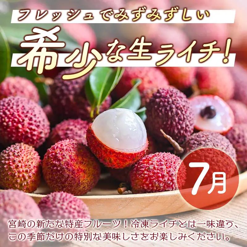 2027年出荷 人気フルーツ 定期便 5月～8月 全4回 くだもの F149-27