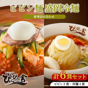 冷麺 ピビン麺 計6食 ぴょんぴょん舎 盛岡冷麺 セット 冷麺 r03201800204