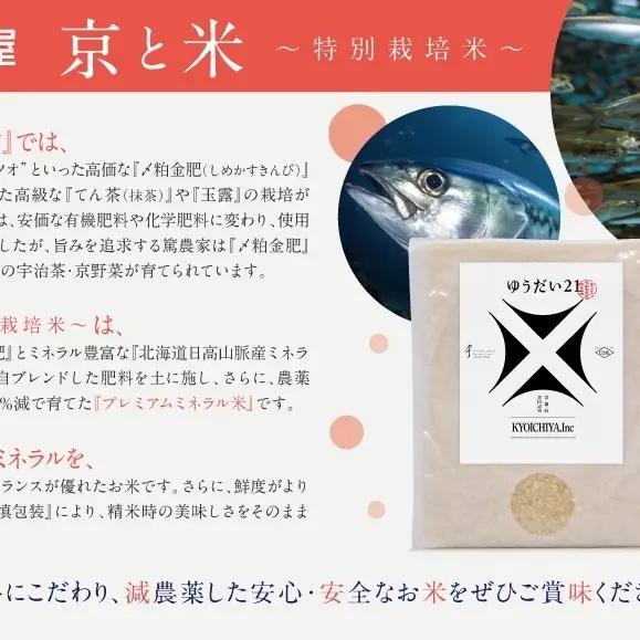 京都府京田辺市産 京と米 ゆうだい21 2kg (2kg×1袋) R7年度産 お米 米 こめ コメ 精米 白米 ごはん ご飯 弁当 おにぎり 真空 長期保存 防災 京田辺市 京都府 kt2026