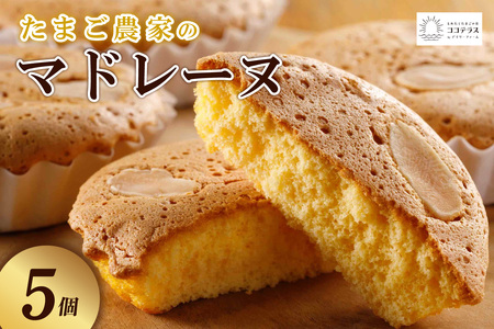 たまご農家 マドレーヌ（5個）ふるさと納税 ふんわり食感 マドレーヌ ココテラス 洋菓子 デイリーファーム デザート スイーツ 人気 たまごとバター こだわりスイーツ ティータイム アフターヌーンティ