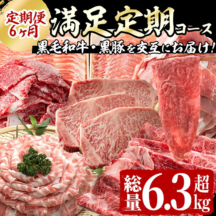 【ふるさと納税】【定期便全6回】黒毛和牛・黒豚を交互にお届け！＜志布志牛・豚 満足定期コース＞計6.3kg超！牛肉 豚肉 サーロイン スライス 切り落とし 黒豚 ロース 豚バラ しゃぶしゃぶ すき焼き 焼肉 国産【サンキョーミート】t0100-031
