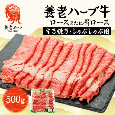 【ふるさと納税】養老ハーブ牛　ロースまたは肩ロース　すき焼き・しゃぶしゃぶ両用　500g【配送不可地域：離島】【1273632】