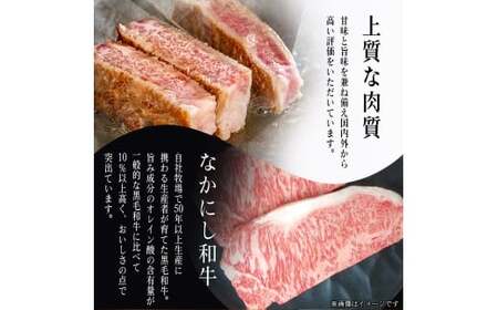 宮崎県西ノ原牧場・なかにし和牛サーロインステーキ 600g（国産 牛肉 肉 宮崎牛 黒毛和牛 お肉 サーロインステーキ なかにし和牛 ステーキ)