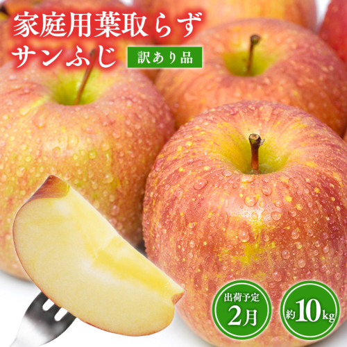2月 訳あり 家庭用葉取らずサンふじりんご 約10kg【森山商店・青森県産・青森りんご・2月】