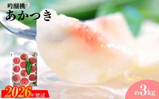 
                  No.2320【限定100箱】吟壌桃「あかつき」約3kg【2026年発送】
                