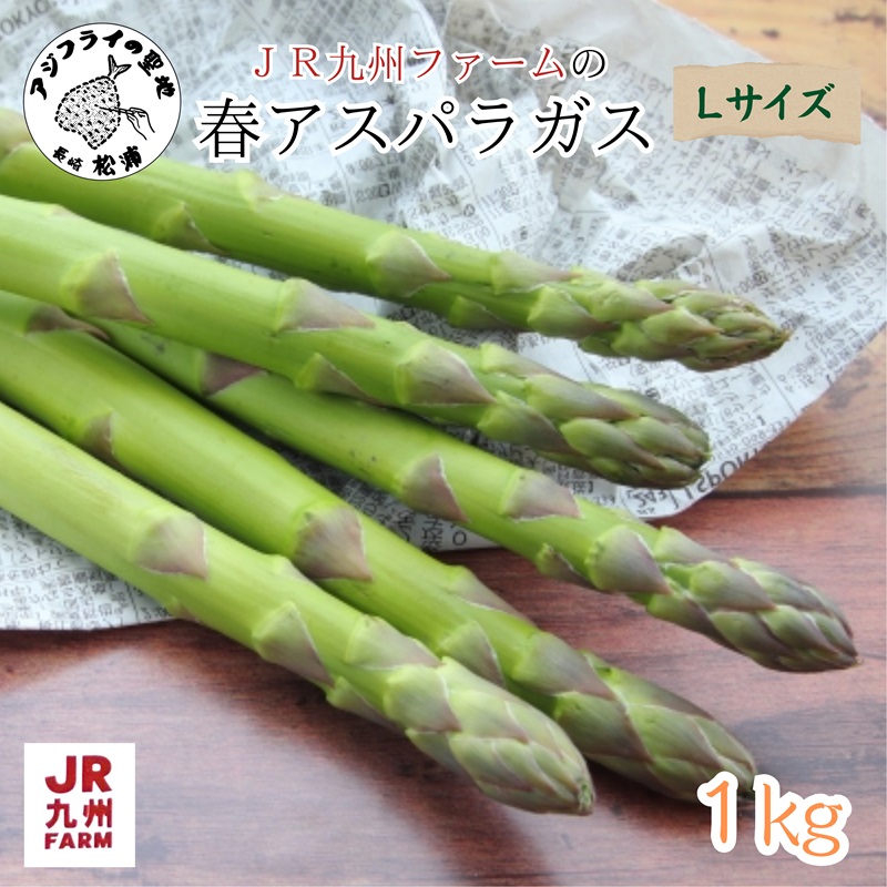 JR九州ファームの春アスパラガス　Lサイズ1kg( 野菜 新鮮 アスパラガス アスパラ 春アスパラ 甘み )【A9-025】