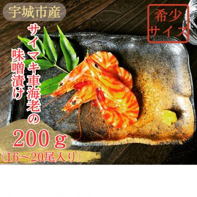 ふるさと納税 宇城市 【超希少】車海老の味噌漬け 計200g (16〜20尾)殻が薄く食べやすく濃厚な小さいサイズの車えび
