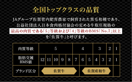 ブランド銘柄「佐賀牛」ヒレステーキ 計540g (180g×3枚)