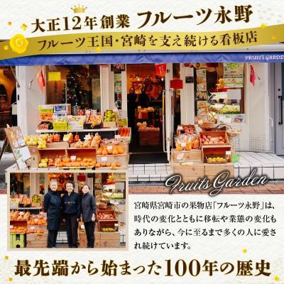 ふるさと納税 宮崎市 【発送月固定定期便】南国宮崎のフルーツ定期便全12回 |  | 02
