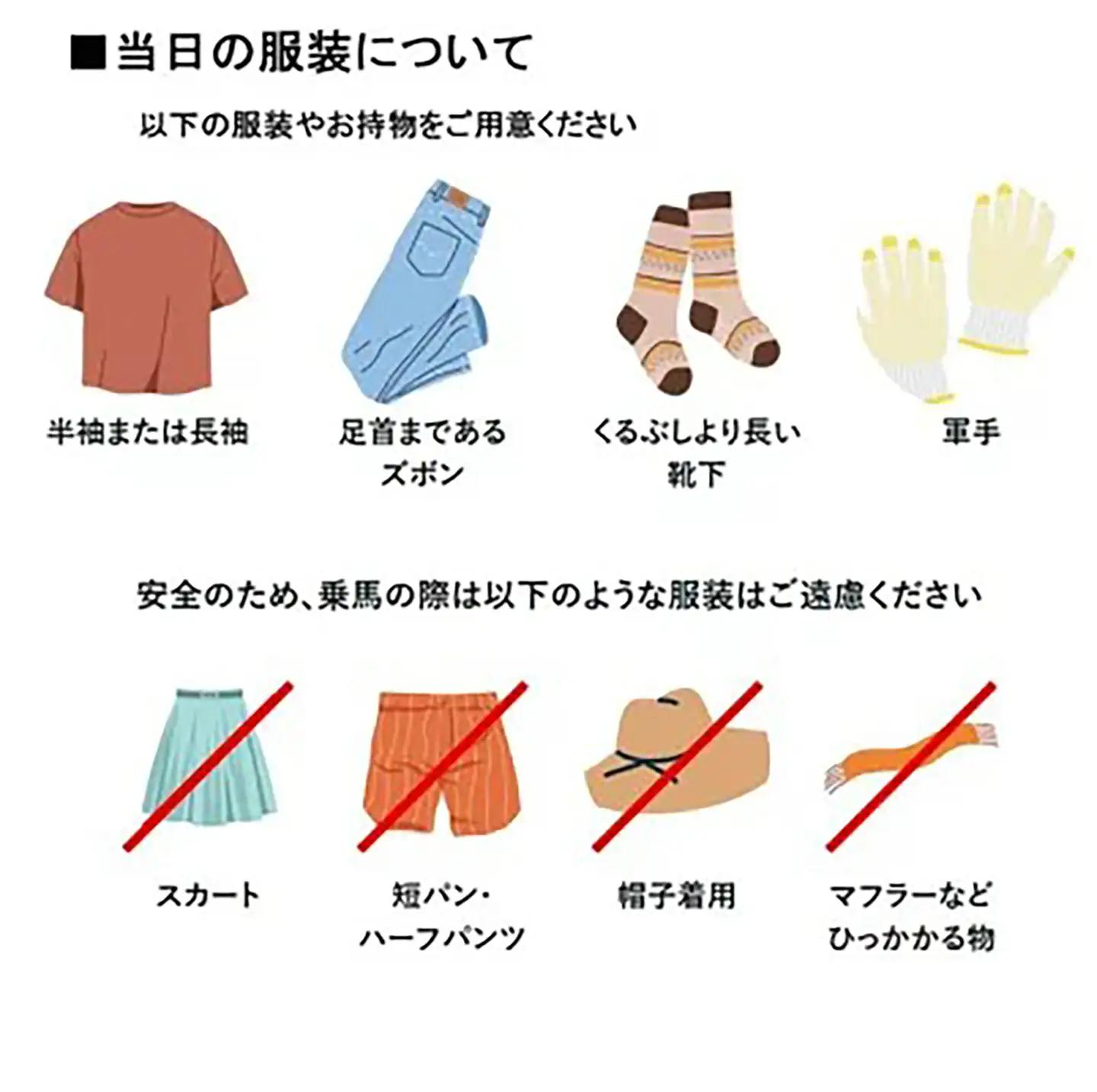 乗馬クラブクレイン茨城 45分しっかり 乗馬体験チケット