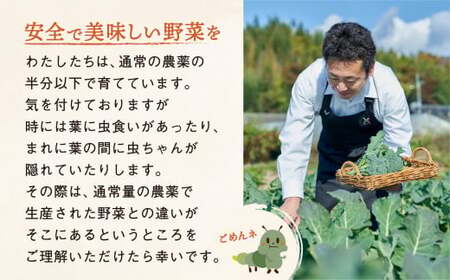 【12ヶ月定期便／毎月2回(合計24回)発送】訳あり 野菜セット 約3～4種類 農家のおすそわけ 旬 野菜セット