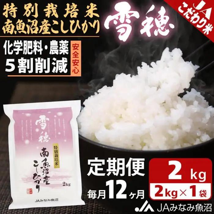 【JAみなみ魚沼定期便】特別栽培米南魚沼産こしひかり「雪穂」（2kg×全12回）精米｜こしひかり